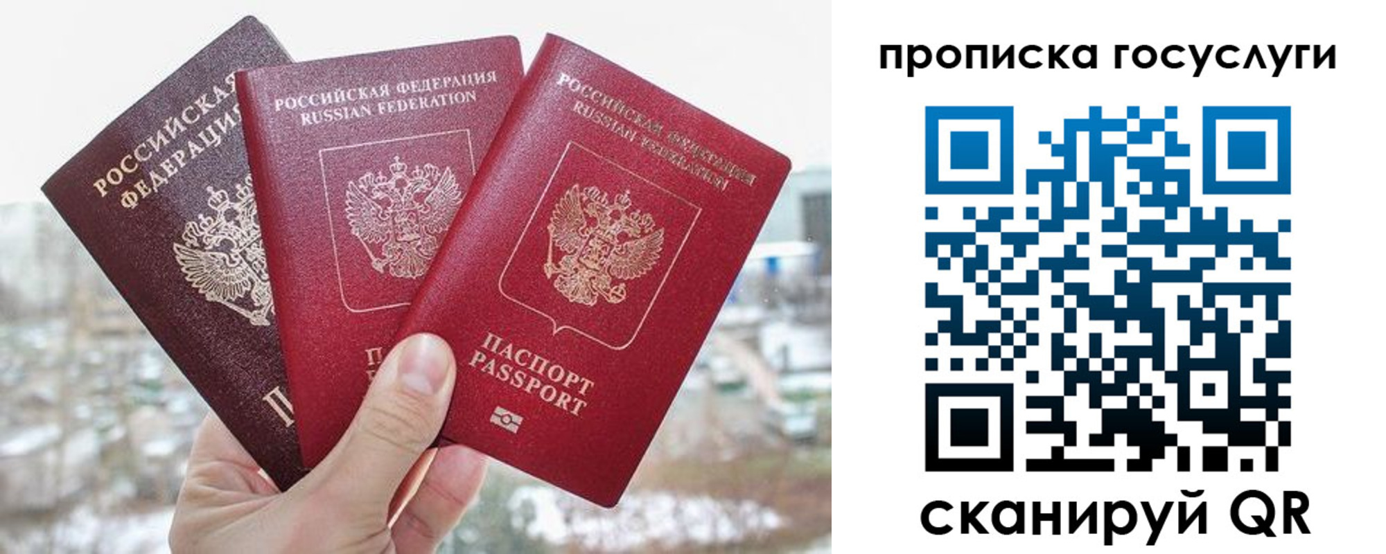 прописка законно в Бакале